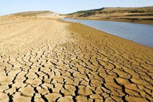 8crackedmud_gallery__470x312