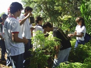 aula_prtica__maa_maio2006_400