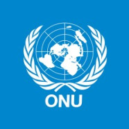 ONU abre inscrições para Programa de Intercâmbio para Afrodescendentes